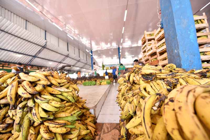 Prefeito-David-Almeida-determina-reforma-da-feira-da-Banana-abandonada-há-27-anos1