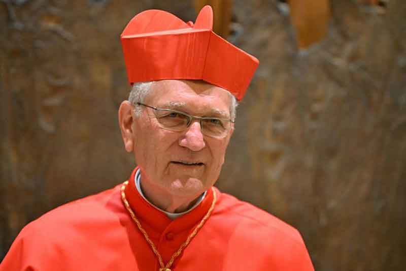 Cardinal-Steiner