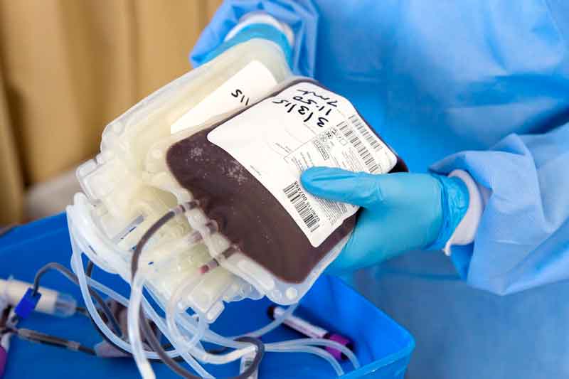 Doação-de-Sangue