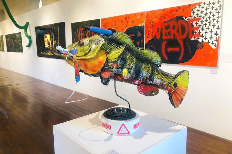 Verde-Amazonas-Amanda-Brasil-Cultura