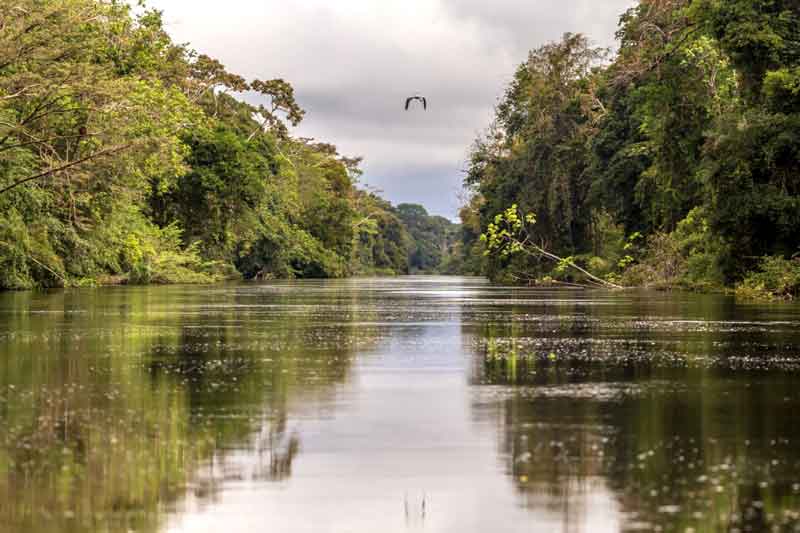 paisagem-amazonica