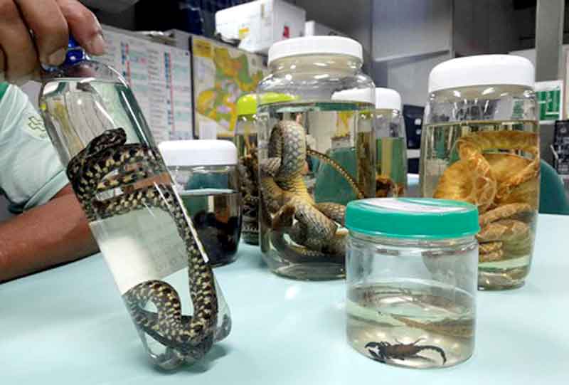 FVS-AM_Acidentes-por-animais-peçonhentos