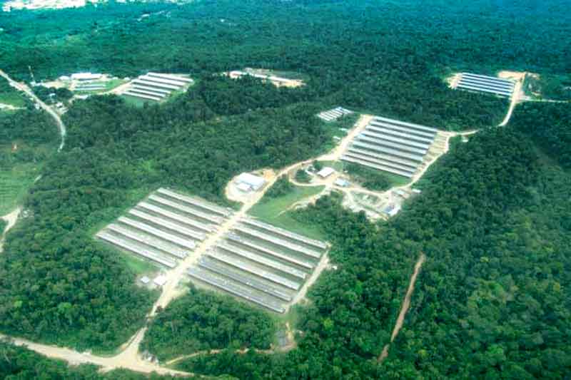 distrito-agropecuario-da-suframa_DAS