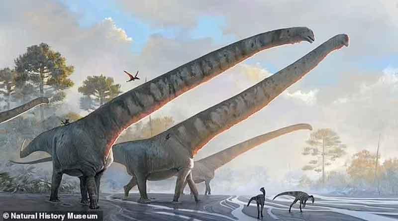 Descoberto-fóssil-de-dinossauro-com-o-maior-pescoço-de-todos