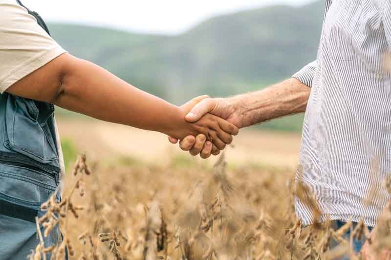 Com-apoio-do-Sicredi-produtores-rurais-desenvolvem-suas-atividades-e-prosperam