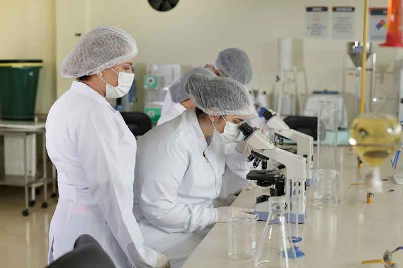 pesquisa-em-laboratorio