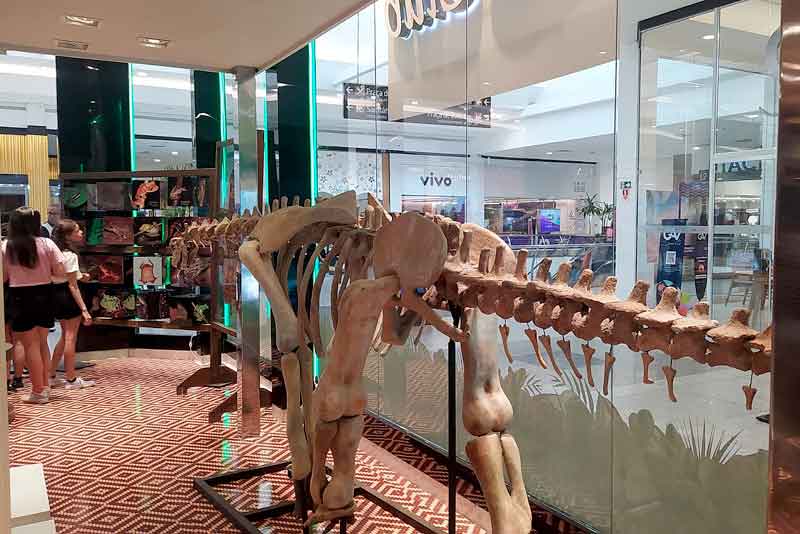 Exposição-do-Musa-“Todo-O-Mundo-na-Floresta”-é-prorrogada-até-20-de-outubro,-no-Amazonas-Shopping