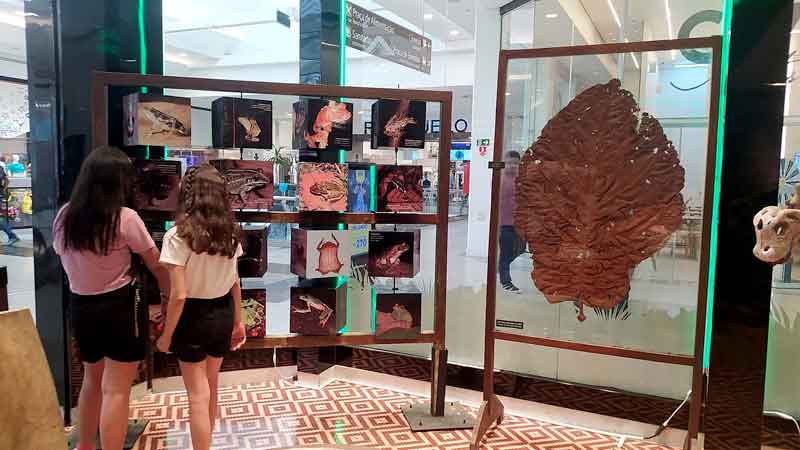 Exposição-gratuita-em-Manaus-é-opção-cultural-para-o-fim-de-semana