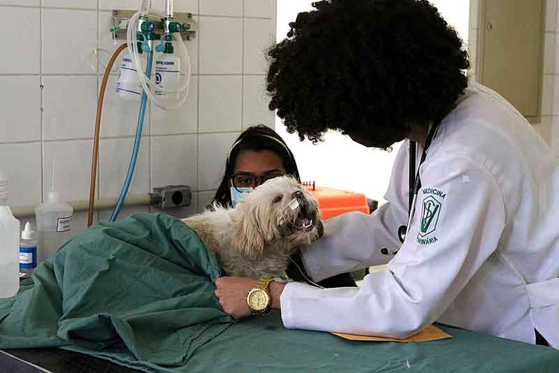 Nilton-Lins-e-Ifam-lançam-1º-curso-de-Mestrado-em-Ciências-Veterinárias-do-Amazonas