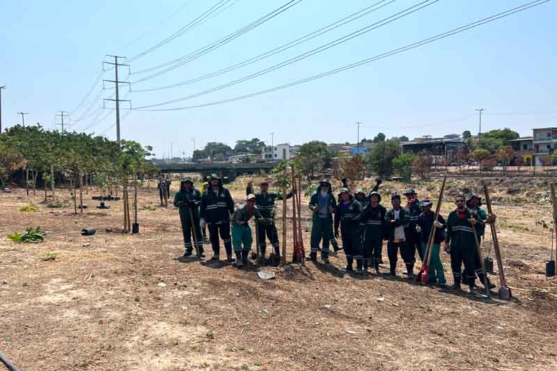 Semmas-realiza-plantio-em-área-degradada-por-incêndio-em-alusão-ao-Dia-da-Amazônia1