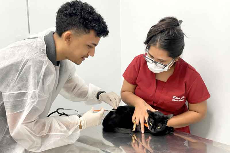 Nilton-Lins-promove-Outubro-Rosa-Pet