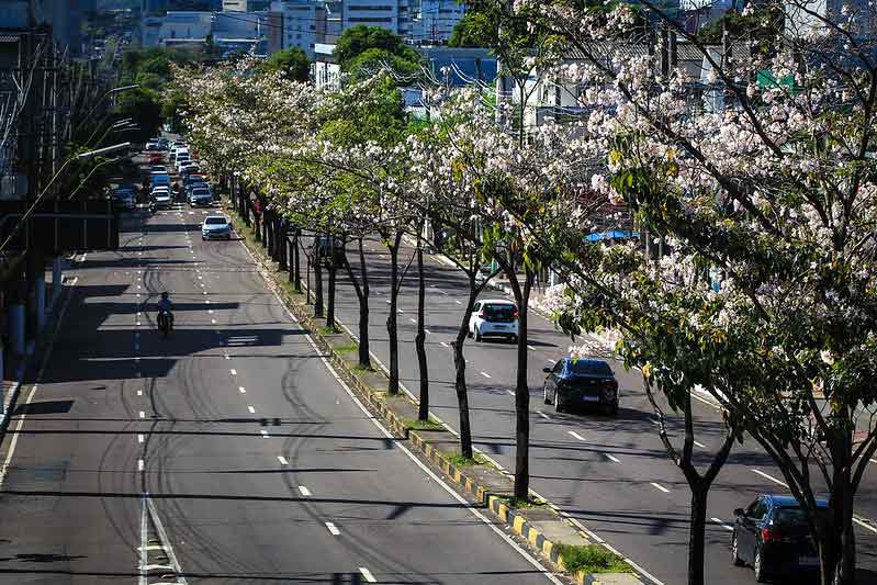 Manaus-é-escolhida-para-a-implantação-de-projeto-ambiental-da-ONU
