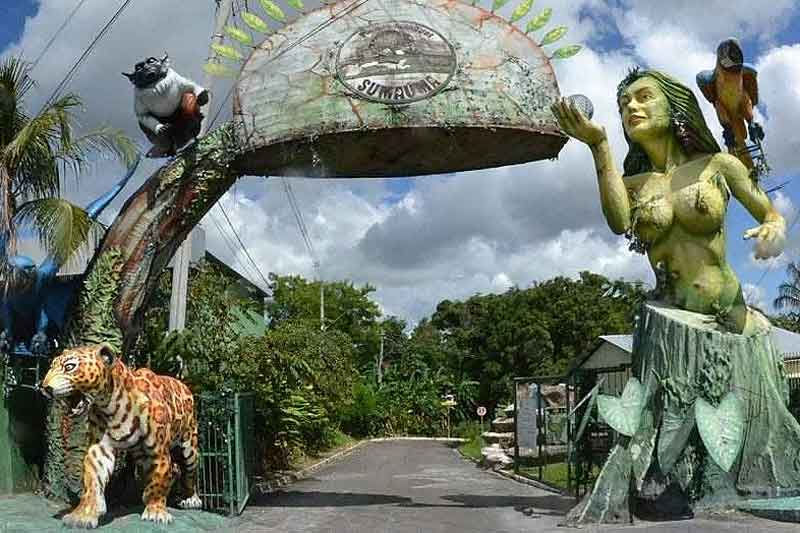 Parque-Estadual-Sumaúma-oferece-programação-gratuita-neste-sábado