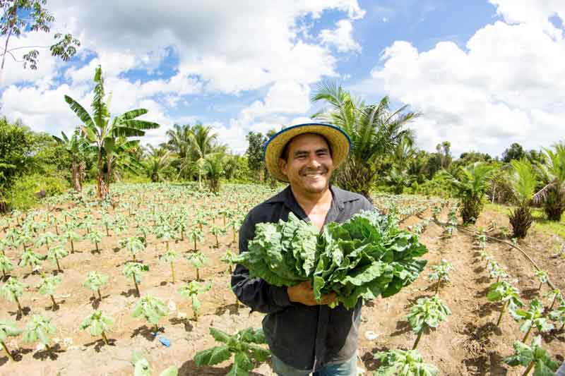 Governo-do-Amazonas-investiu-R$-78-milhões-na-aquisição-de-alimentos-da-agricultura-familiar-em-2023