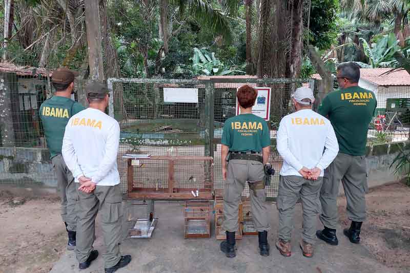 IBAMA-liberta-35-aves