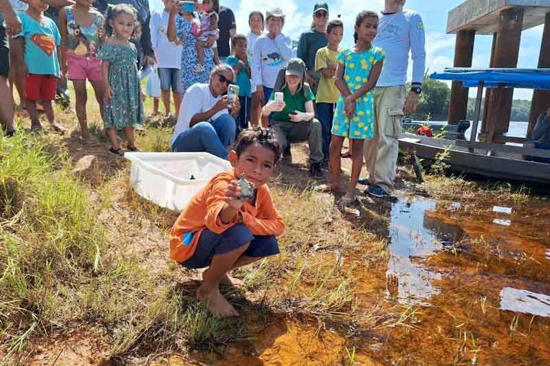 Mais-de-5-mil-quelônios-são-soltos-em-comunidades-às-margens-da-BR-319