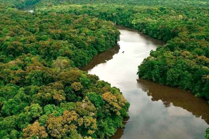 Manaus-sediará-1º-Congresso-Internacional-de-Saúde-Animal-e-Ambiental-em-junho