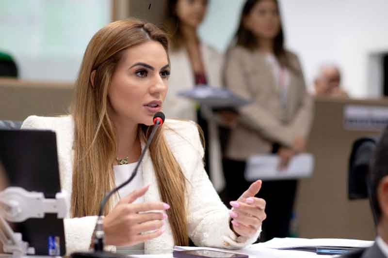 Projeto-de-Débora-Menezes-cria-Plano-Estadual-de-Combate-à-Pedofilia