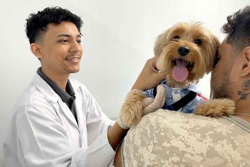Cães-e-gatos-contraem-dengue-Veterinária-esclarece-dúvidas-e-faz-alerta