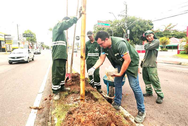 Prefeitura-de-Manaus-realiza-manutenção-da-arborização-em-trecho-da-avenida-Djalma-Batista