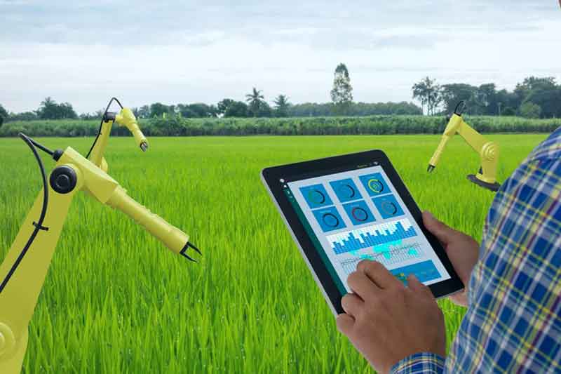 Debate-sobre-Agro-5-0--é-destaque-no-FEBRABAN-TECH-2024