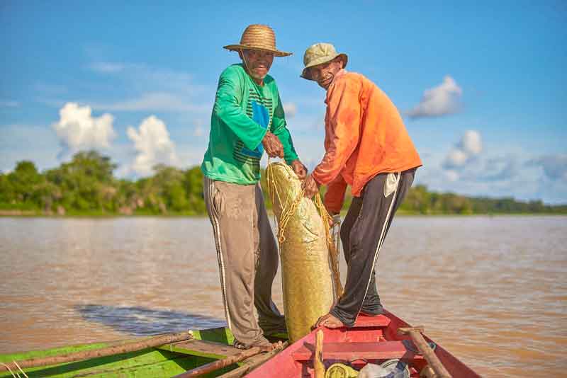 Nova-edição-de-Feira-do-Pirarucu-terá-6-toneladas-de-pescado-para-venda-em-Manaus
