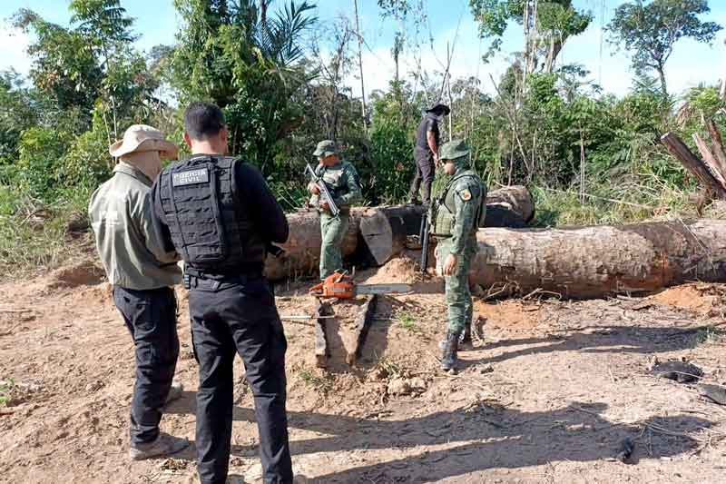 Operação-Tamoiotatá-aplicou-multas-superiores-a-R$-54-milhões-por-crimes-ambientais-cometidos-no-sul-do-Amazonas