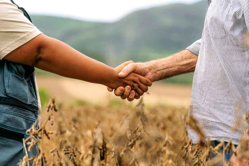 Pensando-em-investir-Para-associados-do-Sicredi,-LCA-é-uma-alternativa-segura-e-rentável-Negocio