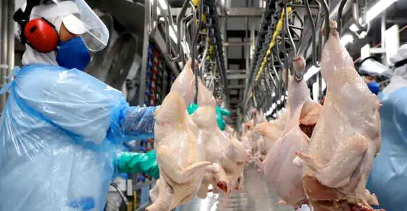 China-deve-voltar-a-importar-carne-de-frango-do-Brasil,