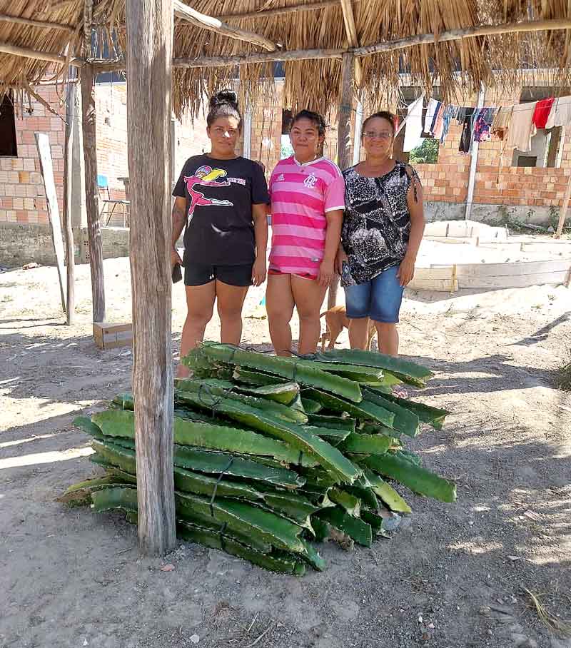 Fepiam-incentiva-agricultura-indígena-com-entrega-de-mudas-de-pitaya