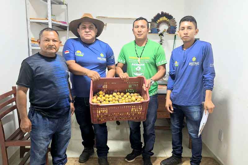 Mais-de-R$-400-mil-foi-investidos-pelo-governo-do-Amazonas-na-compra-de-alimentos-da-agricultura-indígena
