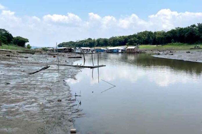 Ações-de-adaptação-à-crise-climática-são-feitas-pelas-comunidades-tradicionais-para-se-preparar-para-a-seca-na-Amazônia