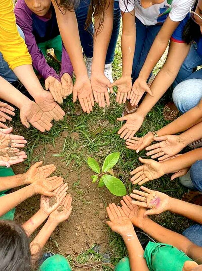 Amazonas-se-destaca-em-competição-educacional-sobre-meio-ambiente