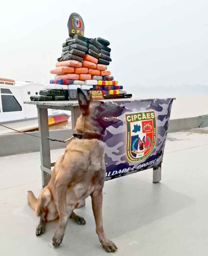 Bases-Fluviais-encontraram-cerca-de-300-quilos-de-drogas-no-interior-do-Amazonas