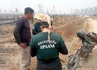Novo concurso ambiental no Amazonas oferece vagas com salários acima de R$ 11 mil