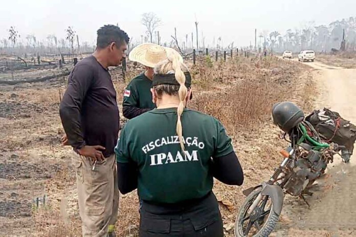 Operação-Tamoiotatá-Durante-140-dias-de-operação-no-sul-do-Amazonas,-Ipaam-aplicou-mais-de-R$-100-milhões-de-multas
