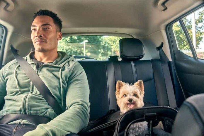 Uber-Pet-chega-a-mais-cidades-brasileiras-para-facilitar-o-transporte-de-animais-de-estimação