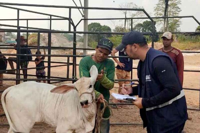 Adaf-realiza-a-vacinação-compulsória-contra-a-raiva,-em-Santo-Antônio-do-Içá