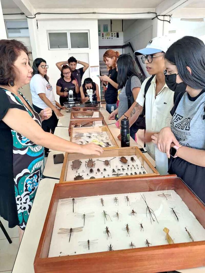 Fapeam-organizará-a-3ª-Semana-de-Agronomia-do-Instituto-de-Ciência-Exatas-e-Tecnologia,-em-Itacoatiara