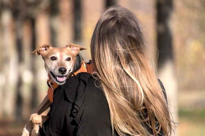 Pesquisas-evidenciam-as-vantagens-da-interação-entre-humanos-e-pets