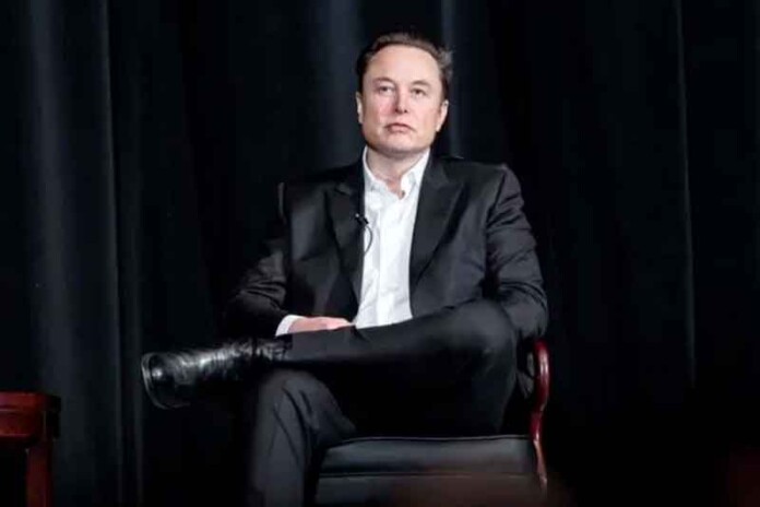 Elon-Musk-ironiza-Janja-e-responde