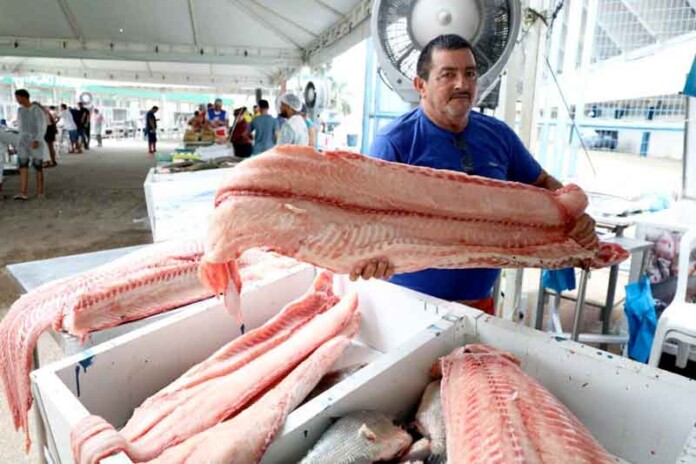 Feirão-do-Pescado-oferece-preços-justos-e-qualidade-em-Manaus