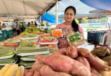 Produtos regionais voltam às feiras e fortalecem a agricultura familiar em Manaus