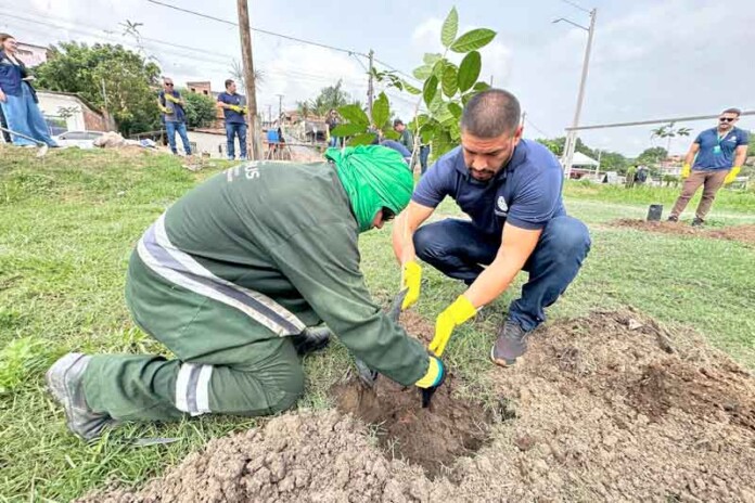 DPE-AM-realiza-plantio-de-mudas-de-árvores-na-nascente-do-Igarapé-do-Mindu