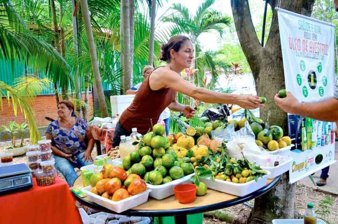 ExpoFeira-do-Ipaam-celebra-sustentabilidade-com-o-tema-1