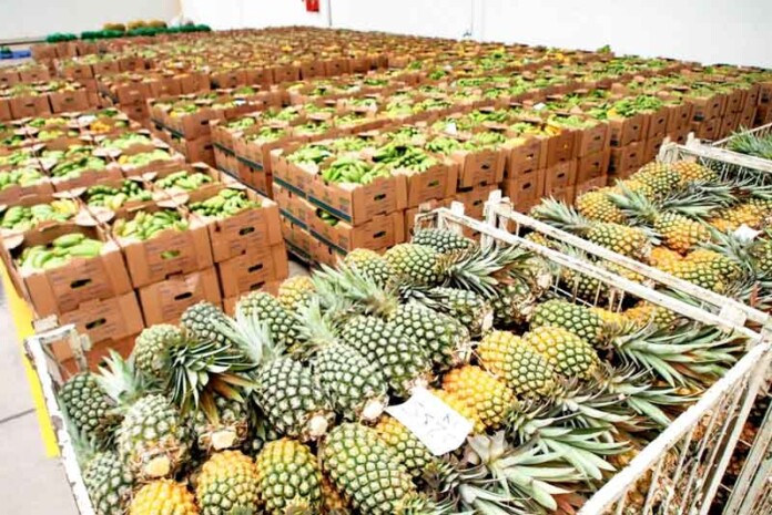 Inscrições-abertas-para-o-Programa-de-Merenda-Escolar-do-Amazonas