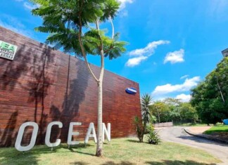 Samsung Ocean abre inscrições para cursos e aulas gratuitas de tecnologia em novembro