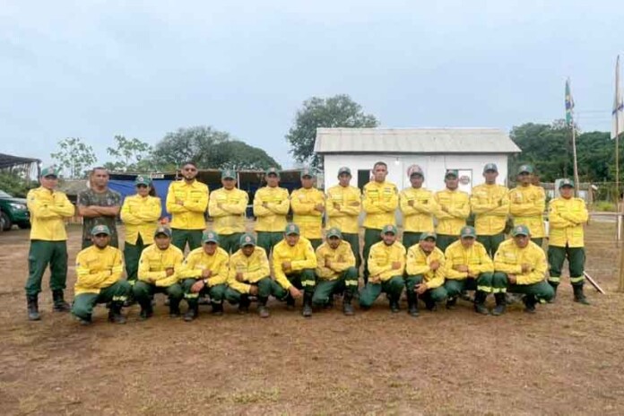 Ibama-expande-programa-PREVFOGO-e-dobra-número-de-brigadas-no-Amazonas