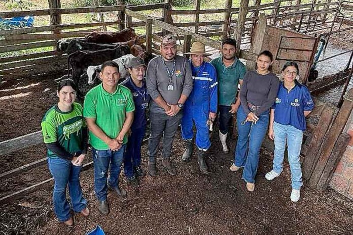Idam-e-parceiros-acompanham-evolução-do-Programa-Mais-Pecuária-Brasil-em-Manacapuru