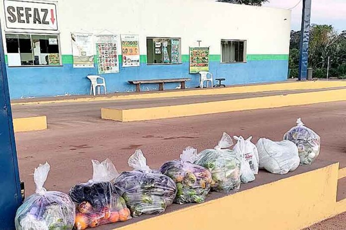 Adaf-apreende-mais-de-200-kg-de-frutos-com-risco-de-pragas-na-fronteira-do-Amazonas